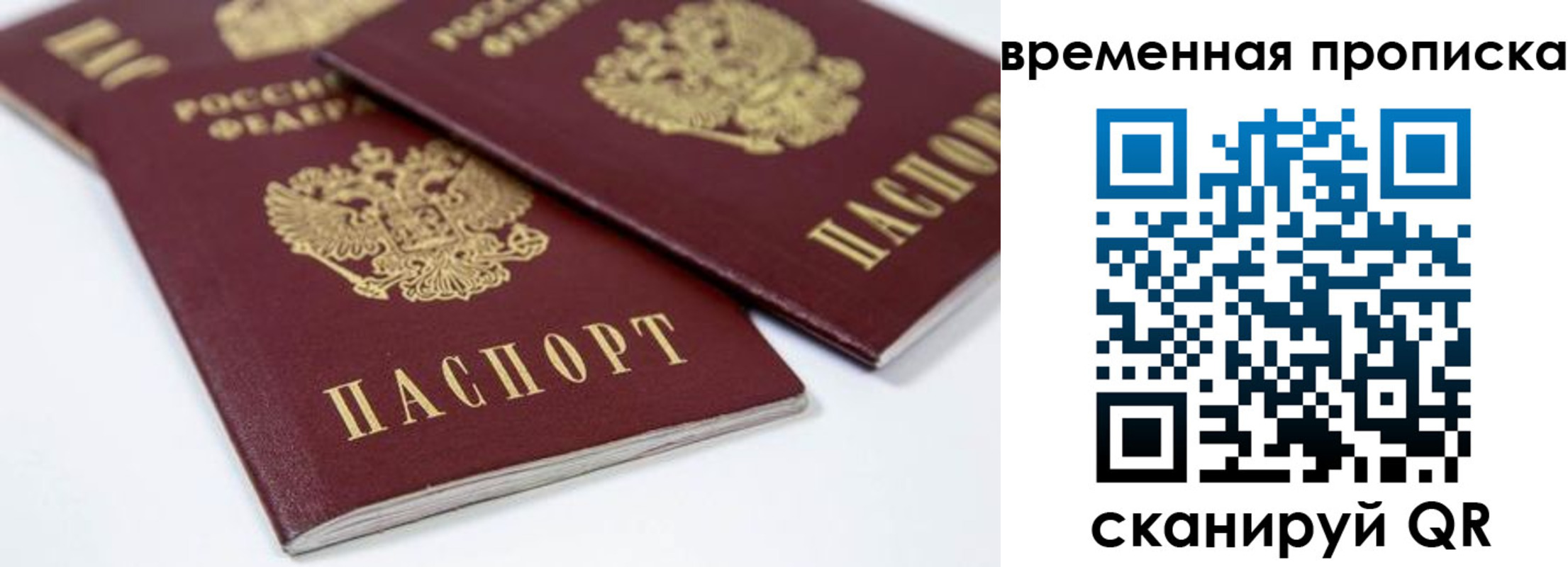 прописка для школы в Кропоткине